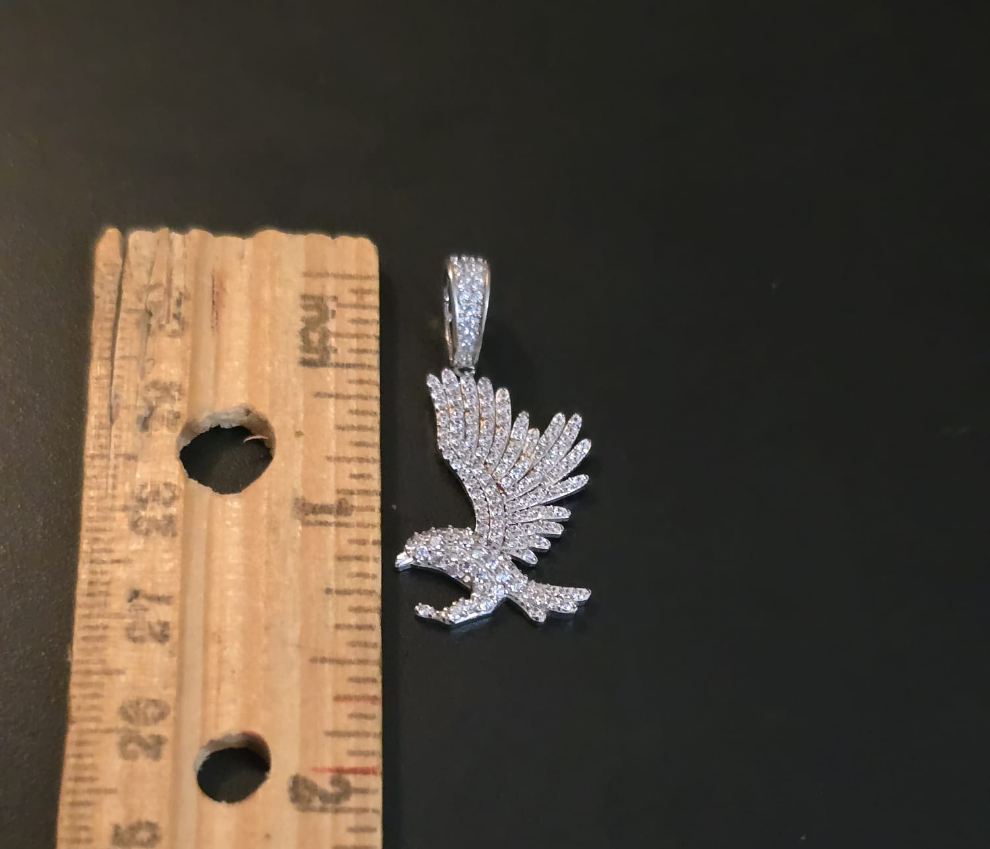 Hawk Landing Pendant